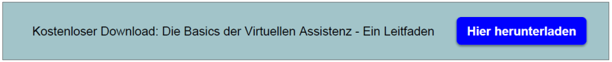 CTA Leitfaden VA-Basics